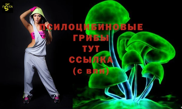 эйфоретик Вязники