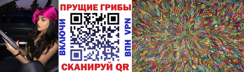 купить Ноябрьск Псилоцибиновые грибы GOLDEN TEACHER