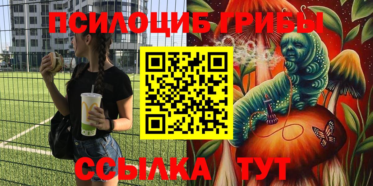 Псилоцибиновые грибы ЛСД  Вход с VPN  Ноябрьск 