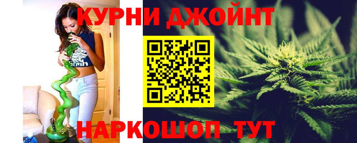 Конопля план Ноябрьск